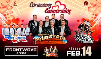 More Info for Conjunto Primavera