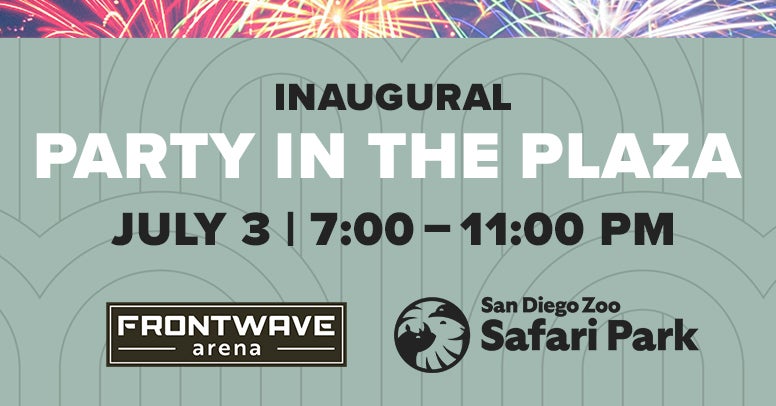 Party in the Plaza